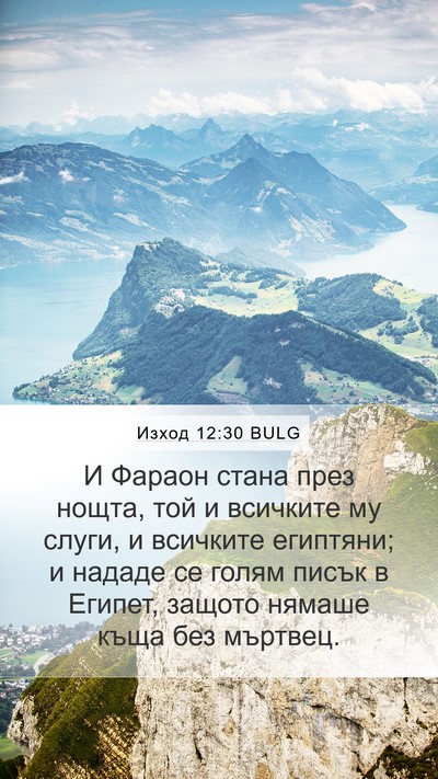 Изход 12:30 BULG Bible Verse Image