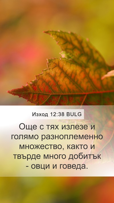 Изход 12:38 BULG Bible Verse Image