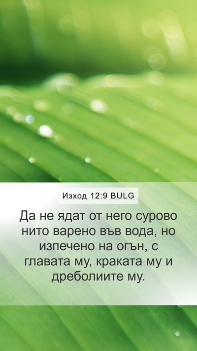 Изход 12:9 BULG Mobile Phone Wallpaper - Да не ядат от него сурово - Mobile Bible Verse Wallpaper