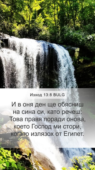 Изход 13:8 BULG Bible Verse Image