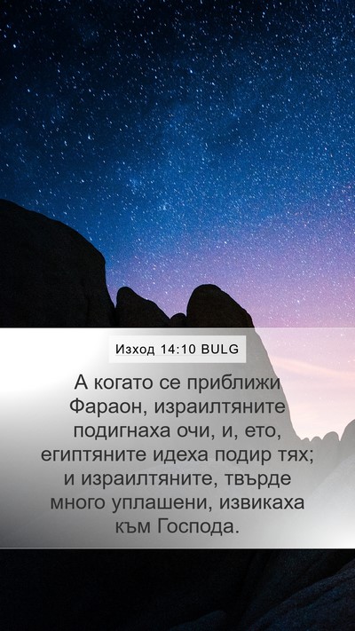 Изход 14:10 BULG Bible Verse Image