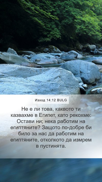 Изход 14:12 BULG Bible Verse Image