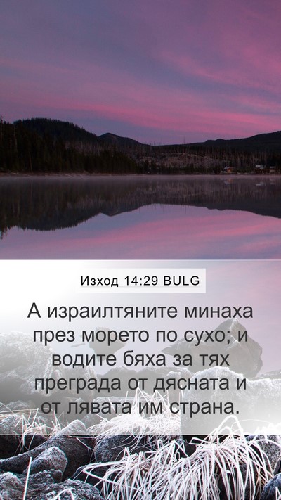Изход 14:29 BULG Bible Verse Image