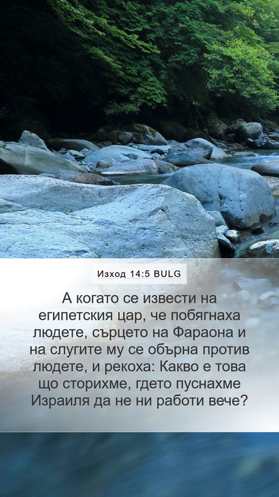 Изход 14:5 BULG Bible Verse Image