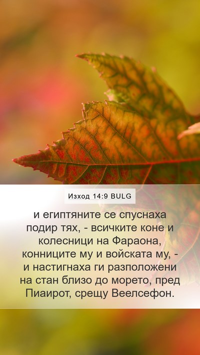 Изход 14:9 BULG Bible Verse Image