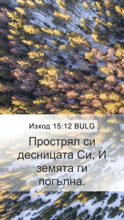 Изход 15:12 BULG Bible Verse Image