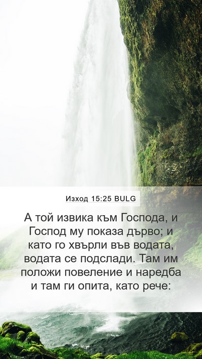 Изход 15:25 BULG Bible Verse Image