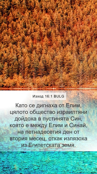 Изход 16:1 BULG Bible Verse Image