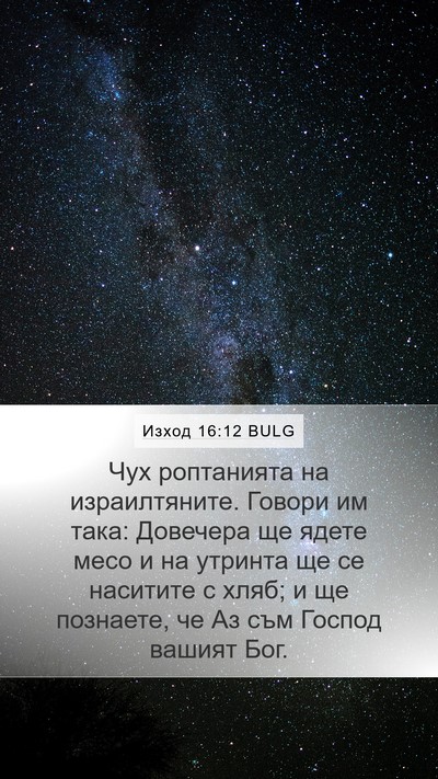 Изход 16:12 BULG Bible Verse Image