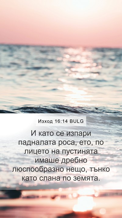 Изход 16:14 BULG Bible Verse Image