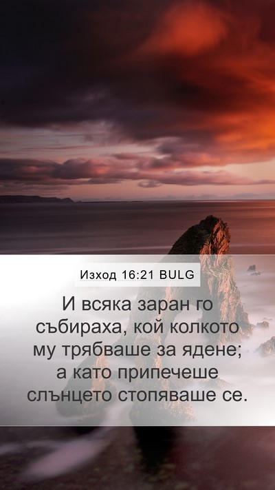 Изход 16:21 BULG Mobile Phone Wallpaper - И всяка заран го събираха, - Mobile Bible Verse Wallpaper