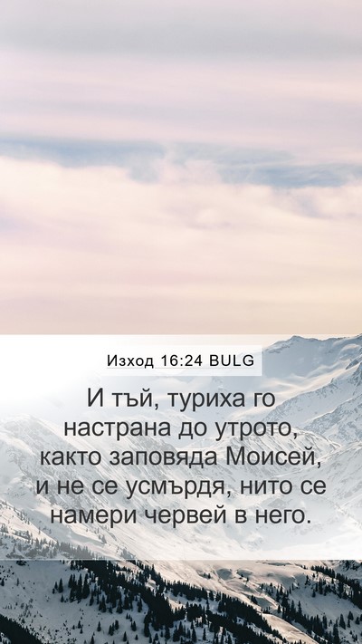 Изход 16:24 BULG Mobile Phone Wallpaper - И тъй, туриха го настрана - Mobile Bible Verse Wallpaper
