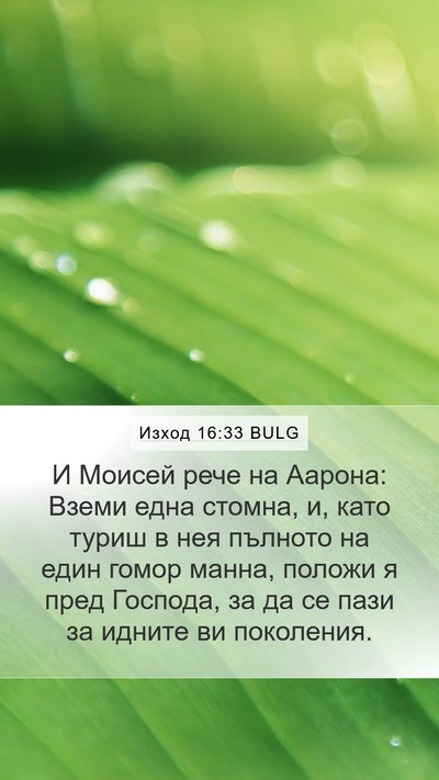 Изход 16:33 BULG Bible Verse Image