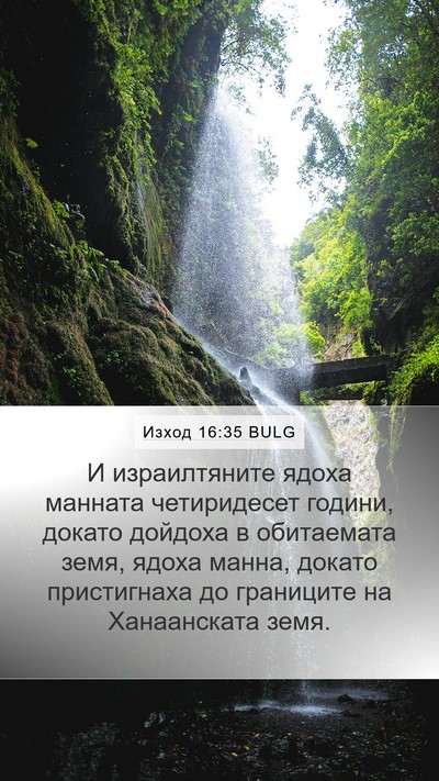 Изход 16:35 BULG Bible Verse Image