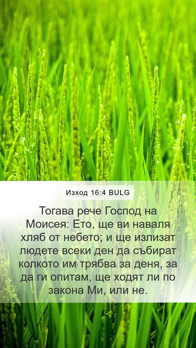 Изход 16:4 BULG Bible Verse Image