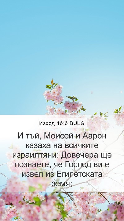 Изход 16:6 BULG Mobile Phone Wallpaper - И тъй, Моисей и Аарон - Mobile Bible Verse Wallpaper