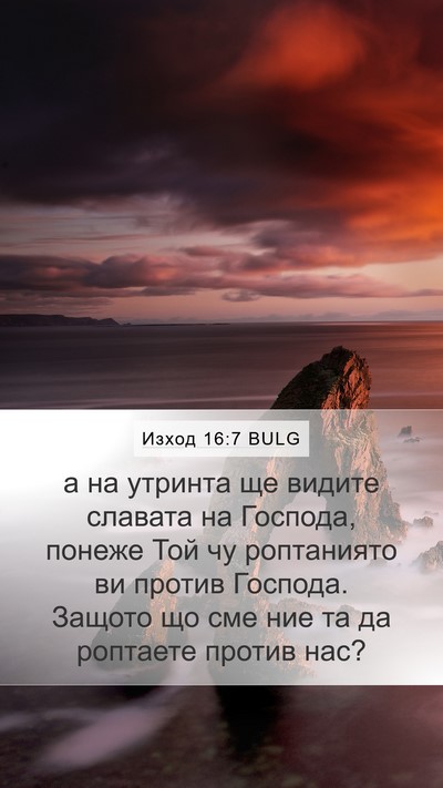 Изход 16:7 BULG Bible Verse Image