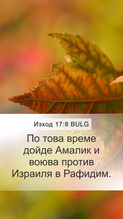 Изход 17:8 BULG Bible Verse Image