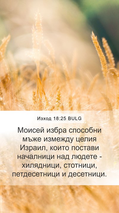 Изход 18:25 BULG Bible Verse Image