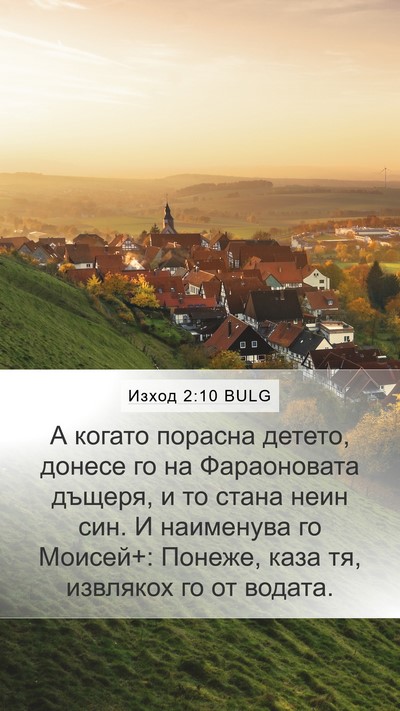 Изход 2:10 BULG Bible Verse Image