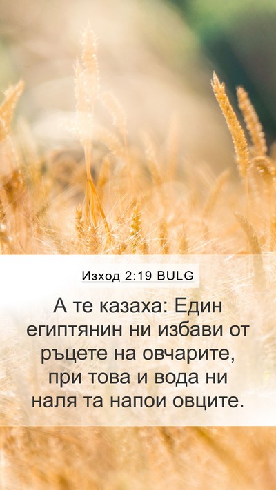 Изход 2:19 BULG Bible Verse Image