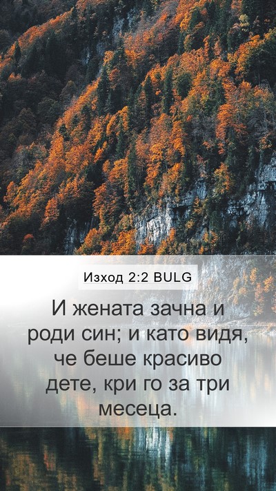 Изход 2:2 BULG Bible Verse Image