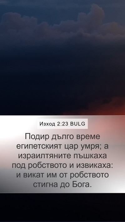 Изход 2:23 BULG Bible Verse Image