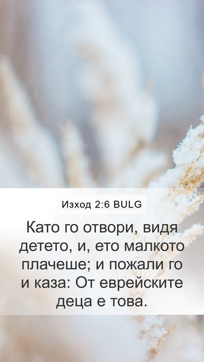 Изход 2:6 BULG Bible Verse Image