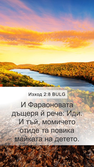 Изход 2:8 BULG Mobile Phone Wallpaper - И Фараоновата дъщеря й - Mobile Bible Verse Wallpaper