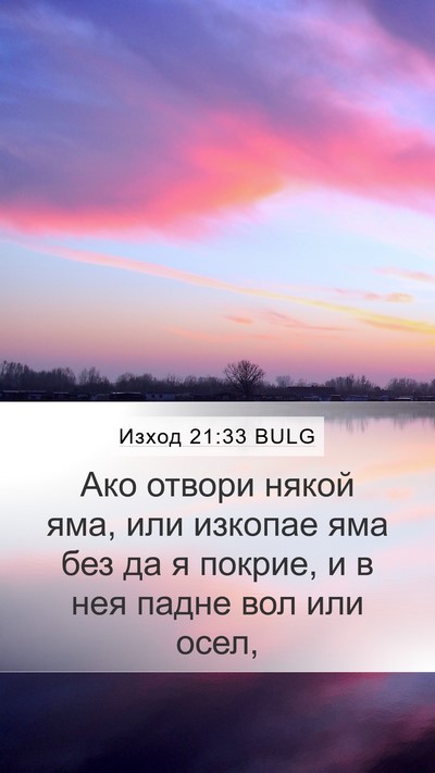 Изход 21:33 BULG Bible Verse Image
