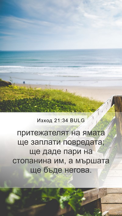Изход 21:34 BULG Bible Verse Image