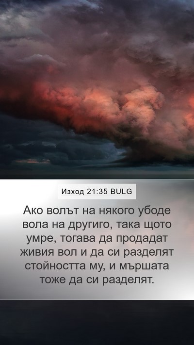 Изход 21:35 BULG Mobile Phone Wallpaper - Ако волът на някого убоде - Mobile Bible Verse Wallpaper
