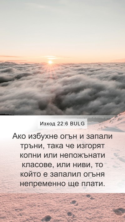 Изход 22:6 BULG Bible Verse Image