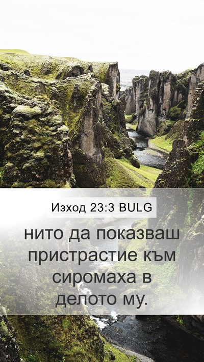 Изход 23:3 BULG Bible Verse Image