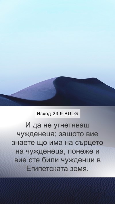 Изход 23:9 BULG Bible Verse Image