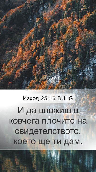 Изход 25:16 BULG Bible Verse Image