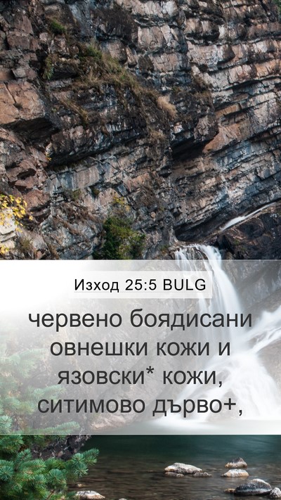 Изход 25:5 BULG Bible Verse Image