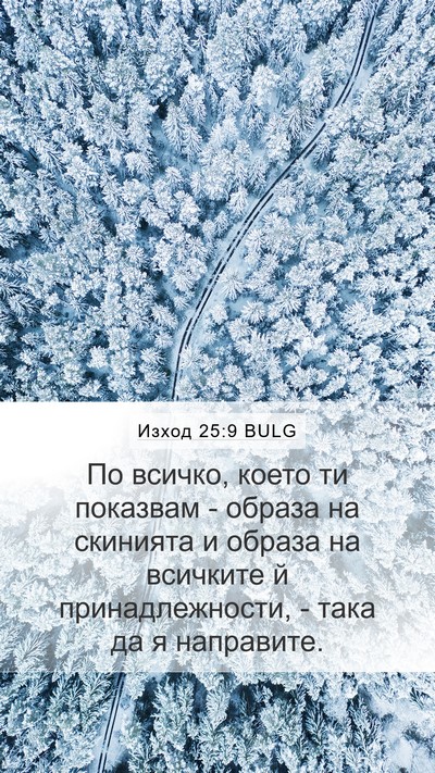 Изход 25:9 BULG Bible Verse Image