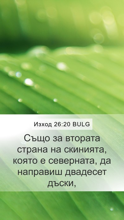 Изход 26:20 BULG Mobile Phone Wallpaper - Също за втората страна на - Mobile Bible Verse Wallpaper