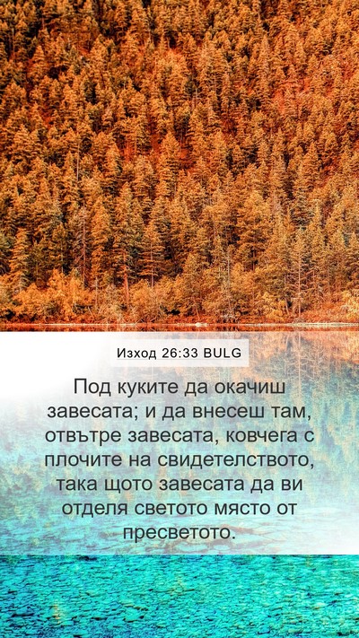 Изход 26:33 BULG Bible Verse Image