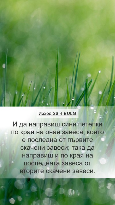 Изход 26:4 BULG Bible Verse Image