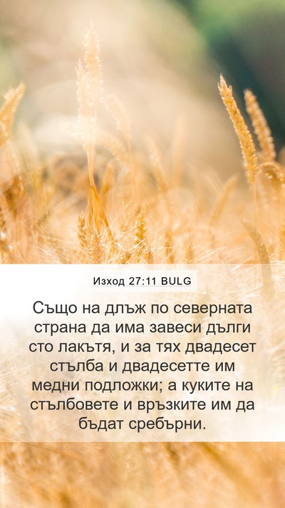 Изход 27:11 BULG Mobile Phone Wallpaper - Също на длъж по северната - Mobile Bible Verse Wallpaper