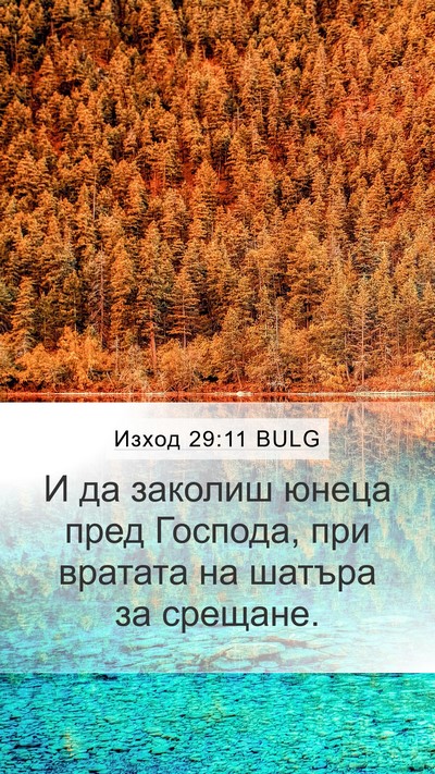 Изход 29:11 BULG Bible Verse Image