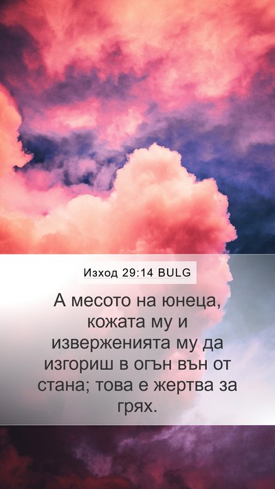 Изход 29:14 BULG Bible Verse Image