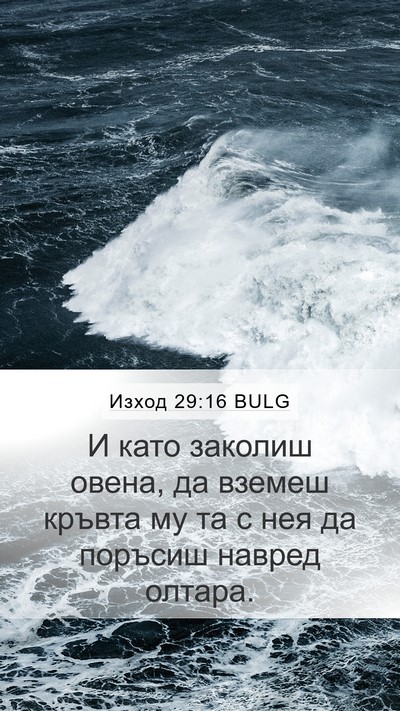 Изход 29:16 BULG Bible Verse Image