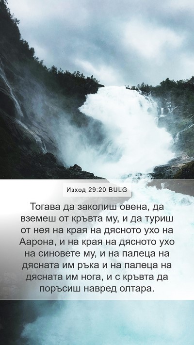 Изход 29:20 BULG Bible Verse Image