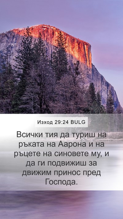 Изход 29:24 BULG Bible Verse Image