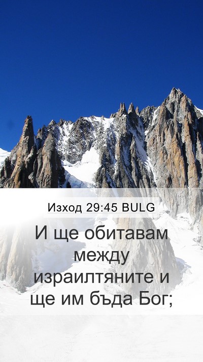 Изход 29:45 BULG Bible Verse Image