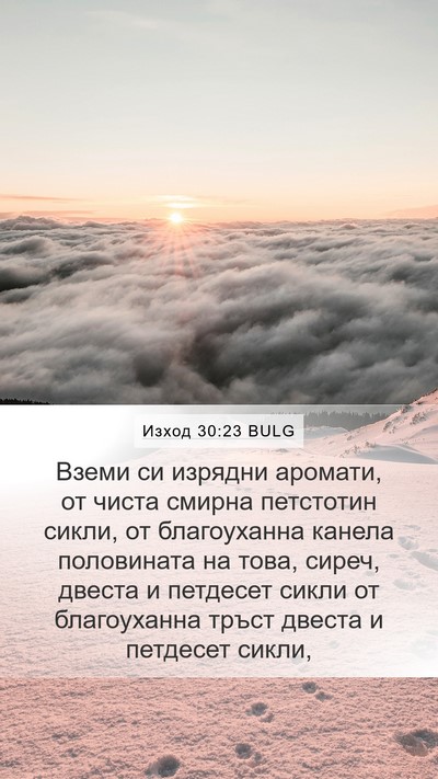Изход 30:23 BULG Bible Verse Image