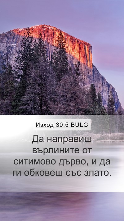 Изход 30:5 BULG Bible Verse Image